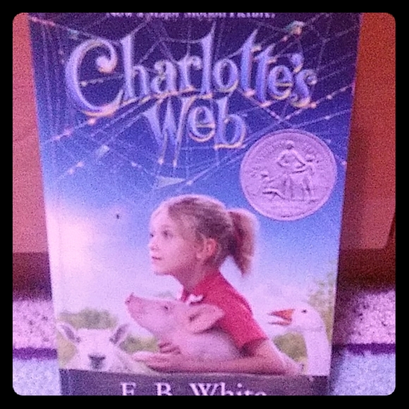 Other - 🌠2 for $8 Charlotte's Web